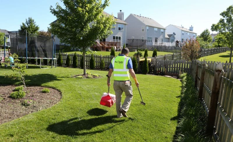 dog poop removal
