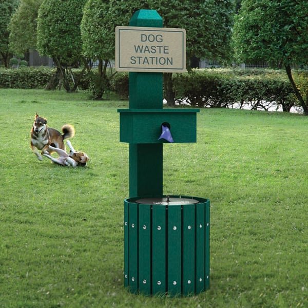 dog poop removal