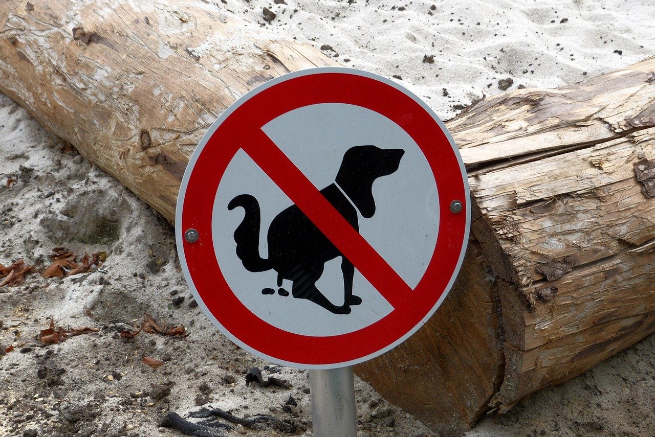 prohibitory, sandpit, dog, pet, to play, children, dog poop, sand, dog poop, dog poop, dog poop, dog poop, animal, dog poop